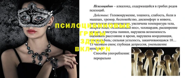 амф Сосновоборск