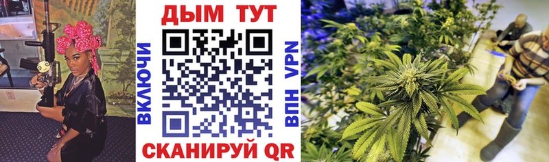 Конопля OG Kush  Купить где  Троицк 